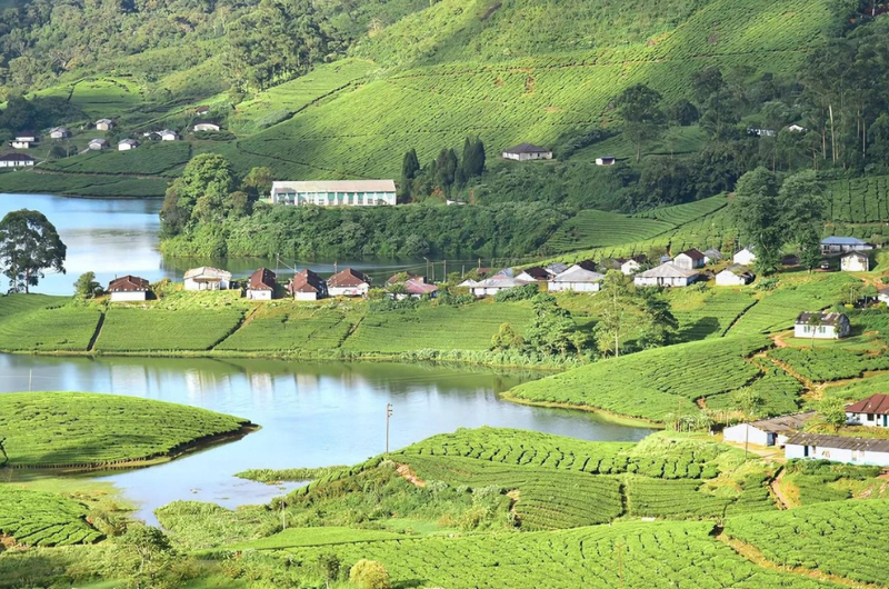 Kerala Family Tour Package